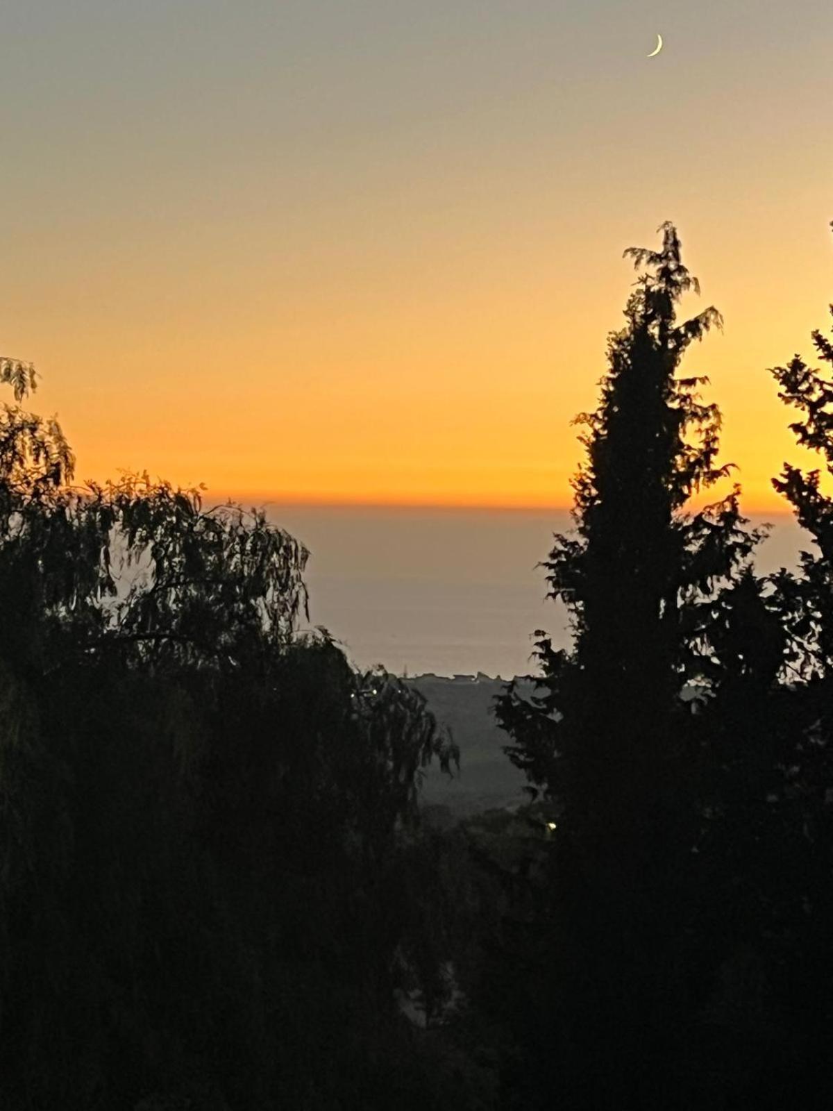 Falaride Suite Agrigento Discesa Sulla Valle Di Oro Buitenkant foto